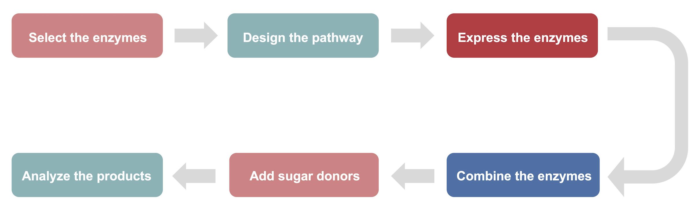 Fig.1 3-Fucosyllactose cell-free system.
